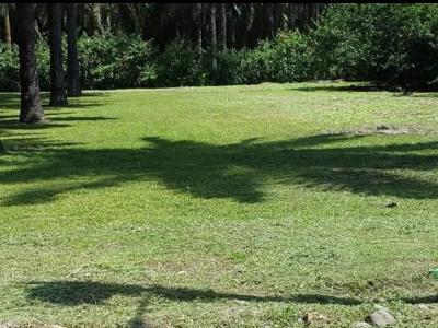 Parrita, Parrita, 蓬塔雷納斯 60901, 哥斯達尼加