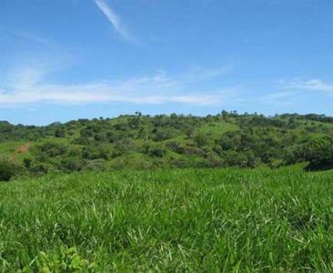 Parrita, Parrita, 蓬塔雷納斯 60901, 哥斯達尼加