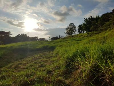 Parrita, Parrita, 蓬塔雷納斯 00001, 哥斯達尼加