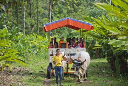 Sarapiquí, La Virgen, Sarapiquí, Heredia 41005, Costa Rica