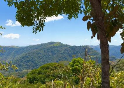 Turrubáres, San Juan De Mata, Turrubáres, San José 10405, Costa Rica