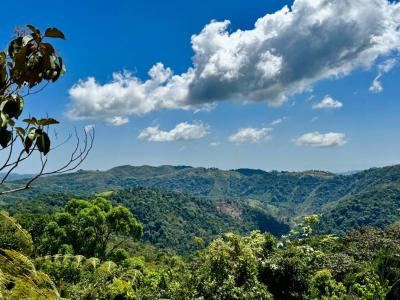 Turrubáres, San Juan De Mata, Turrubáres, San José 10405, Costa Rica