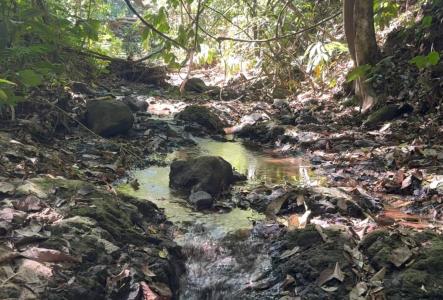 Turrubáres, San Juan De Mata, Turrubáres, San José 10405, Costa Rica