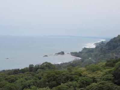 Osa, Escaleras, Bahía Ballena, Osa, Puntarenas 00001, Costa Rica