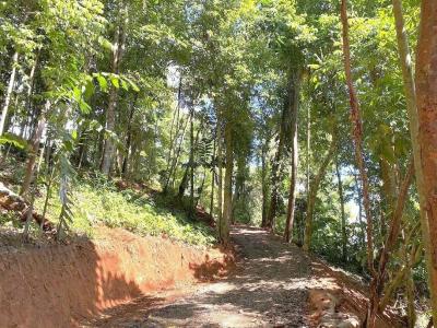 Osa, Osa, Puntarenas 00001, Costa Rica