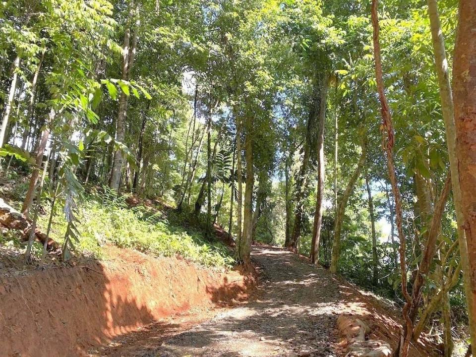 Osa, Osa, 푼타레나스 00001, 코스타 리카