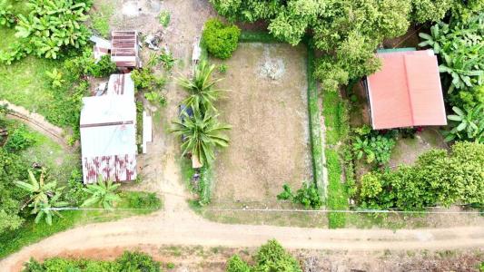 Osa, Osa, Puntarenas 00001, Costa Rica