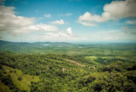 sierpe, Sierpe, Puntarenas 00001, Costa Rica