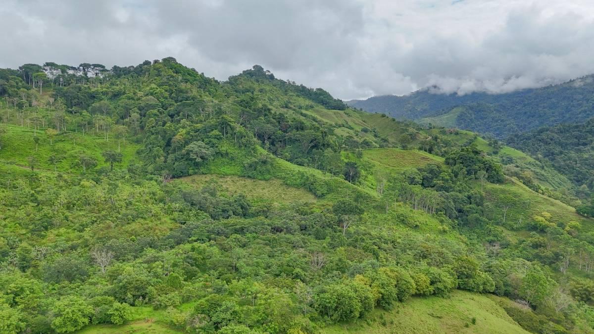 Pérez Zeledón, Chontales, Barú, Pérez Zeledón, San José 00001, 코스타 리카