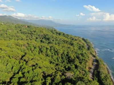 Osa, Dominical, Osa, פונטרנס 00001, קוסטה ריקה 