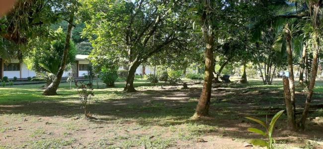 Pococi, Colorado, Pococi, Limón 70206, Costa Rica