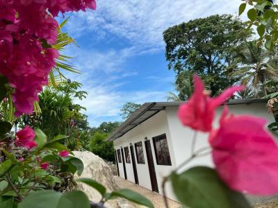 Central, Limón, Central, Limón 00001, Costa Rica