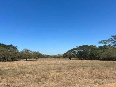 Carrillo, Sardinal, Carrillo, Guanacaste 50503, Costa Rica