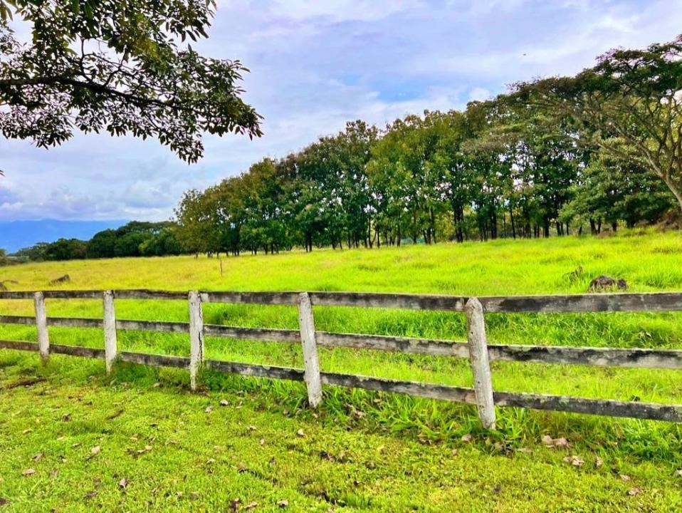 Alajuela, Coyol, Alajuela, Alajuela 00001, Costa Rica