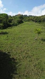 Santa Ana, Uruca, Santa Ana, San José 00001, Costa Rica