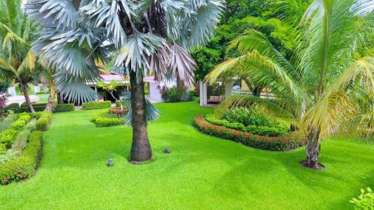 Santa Cruz, Tamarindo, Santa Cruz, גואנאקאסטה 00001, קוסטה ריקה 