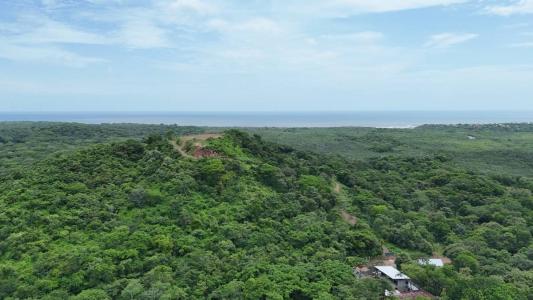 Santa Cruz, Tamarindo, Santa Cruz, グアナカステ 00001, コスタリカ