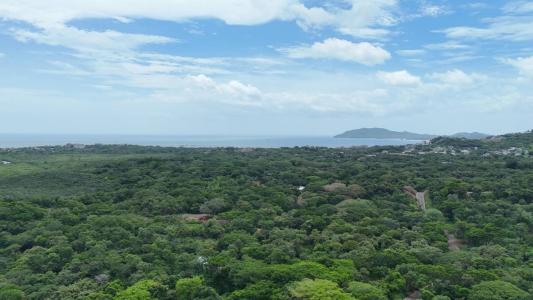 Santa Cruz, Tamarindo, Santa Cruz, グアナカステ 00001, コスタリカ