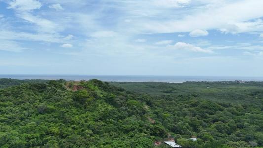 Santa Cruz, Tamarindo, Santa Cruz, グアナカステ 00001, コスタリカ