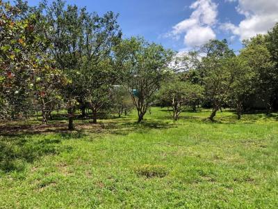 Mora, Colón, Mora, San José 00001, Costa Rica