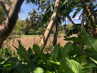 Mora, Colón, Mora, San José 00001, Costa Rica