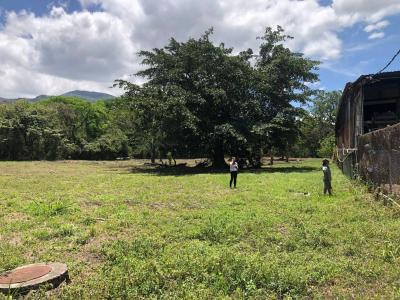 Mora, Colón, Mora, San José 00001, Costa Rica