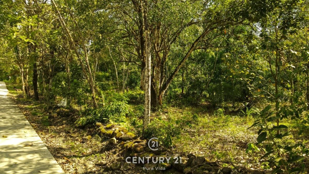 San Mateo, San Mateo, San Mateo, אלחואלה 00001, קוסטה ריקה