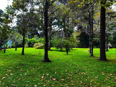 San Rafael, Ángeles, San Rafael, Heredia 40504, Costa Rica