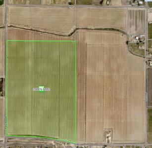 Tbd Puterbaugh Rd/forsell Rd, Grandview, Washington 98930