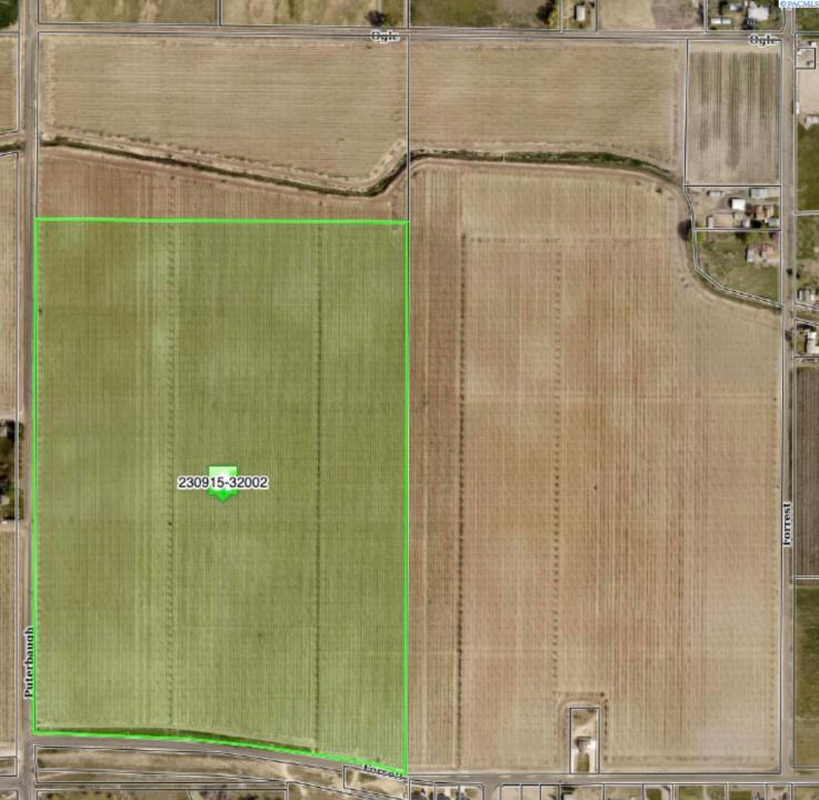 Tbd Puterbaugh Rd/forsell Rd, Grandview, Washington 98930