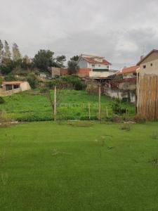 Cascais, Lisbon 2645-583, Portugal