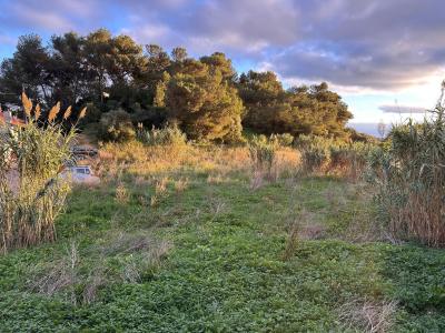 Cascais, Lisboa 2785-046, Portugal