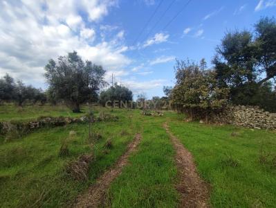 Castelo Branco, Castelo Branco 6000, Portugal
