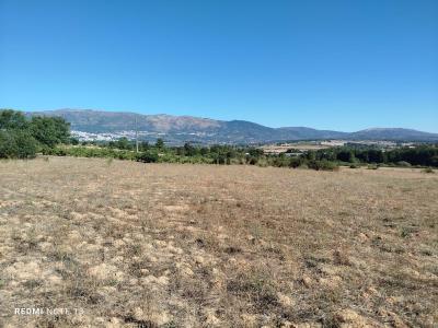 Covilhã, Castelo Branco 6200-570, Portugal