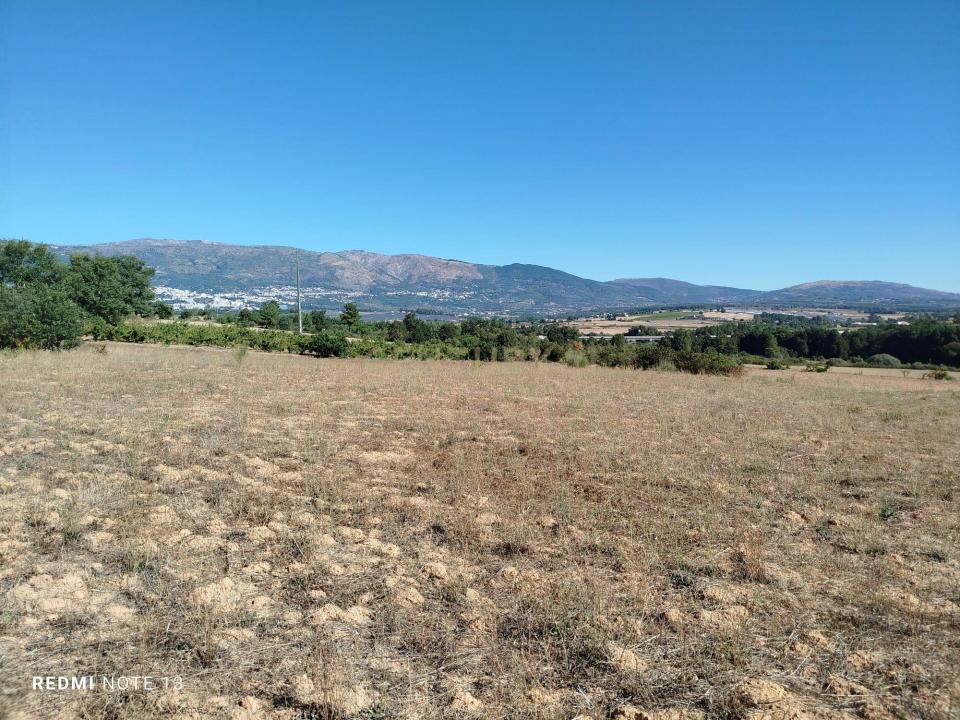 Covilhã, Castelo Branco 6200-570, Portugal