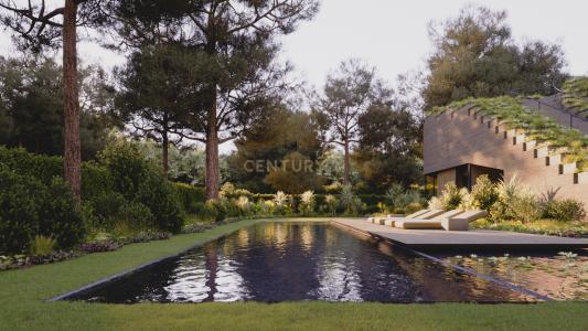 Cascais, Lisbon 2750-002, Portugal