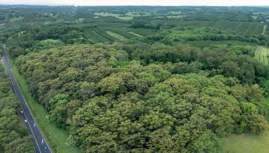 76 Lindendale Road, Lindendale, NSW 2480, Australia