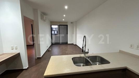 Monterrey, 新莱昂 64830, 墨西哥