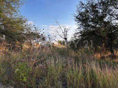 Sendero del Nogal S/N, Huimilpan, Querétaro 76973, Mexico