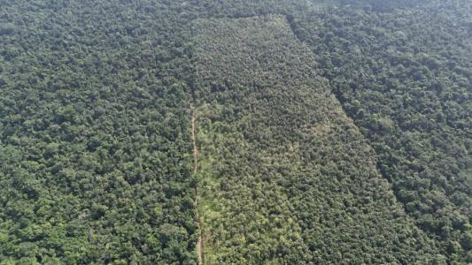 Jacintoville, Jacintoville, Toledo 00001, Belize