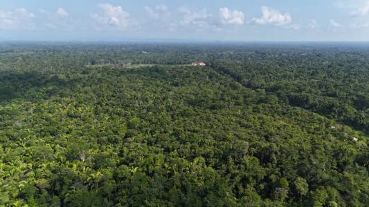 Jacintoville, Jacintoville, Toledo 00001, Belize