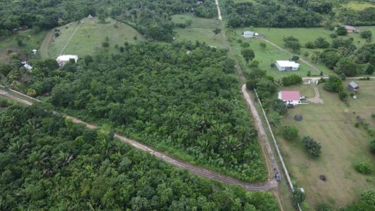 Belmopan, Belmopan, Cayo 00001, 벨리즈