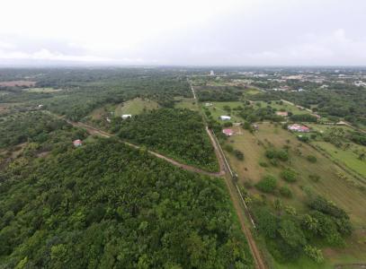 Belmopan, Belmopan, Cayo 00001, 벨리즈