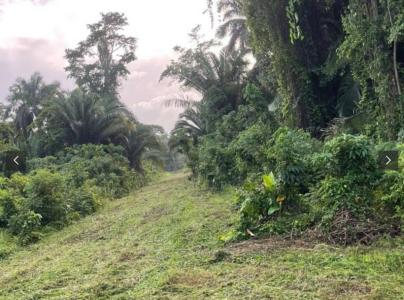 Hopkins, Hopkins, Stann Creek 00001, Belize