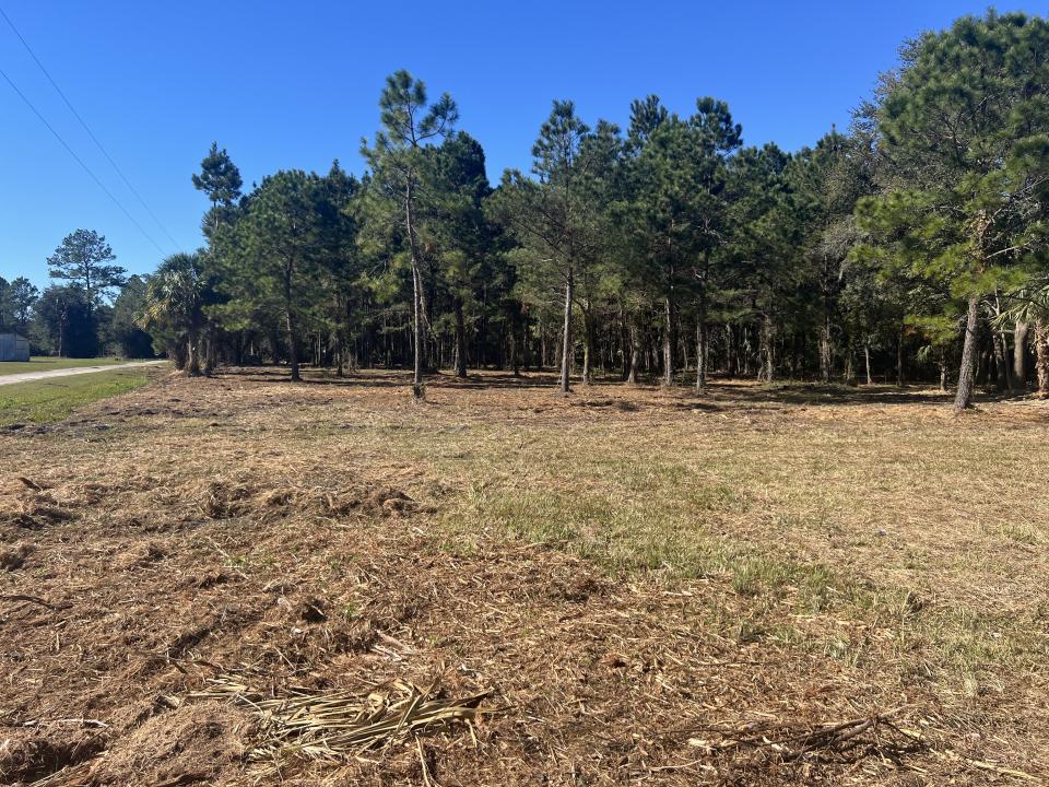 17802 Us-301, Waldo, Florida 32694