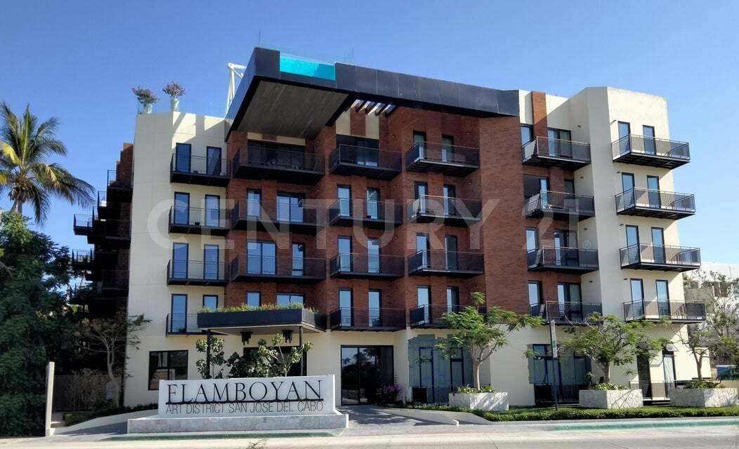 Flamboyan Condominiums 401/402/403, Avenida Centenario 1718 401/02/03, Los Cabos, ولاية باخا كاليفورنيا سور 23400, المكسيك