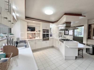 palmira 151, Cuernavaca, 莫雷洛斯 62490, 墨西哥