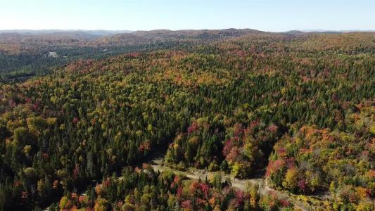 Rue du Guetteur, Sainte-Marguerite-du-Lac-Masson, Quebec J0T 1L0, Canada