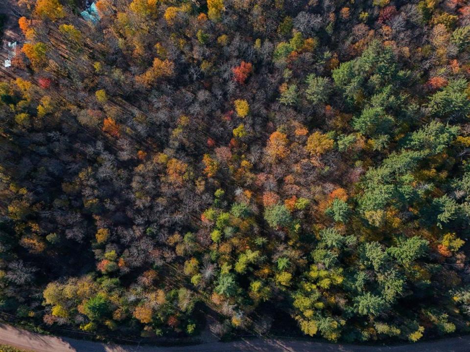 Ch. d'Eupen, Brownsburg-Chatham, 魁北克省 J8G 2N7, 加拿大