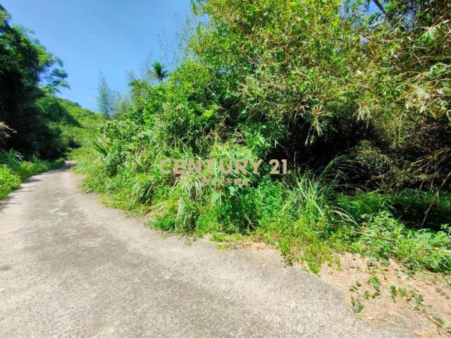 竹森段, Tongluo بلدة, مقاطعة مياولي 366, تايوان